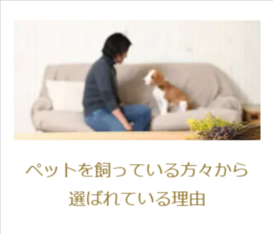 petto
